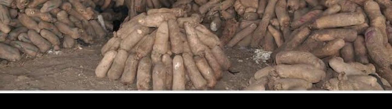 Omabe Heritage and Cultural Celebration &ndash; Umuoyo-Nru