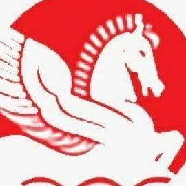 Singhal  Industries 