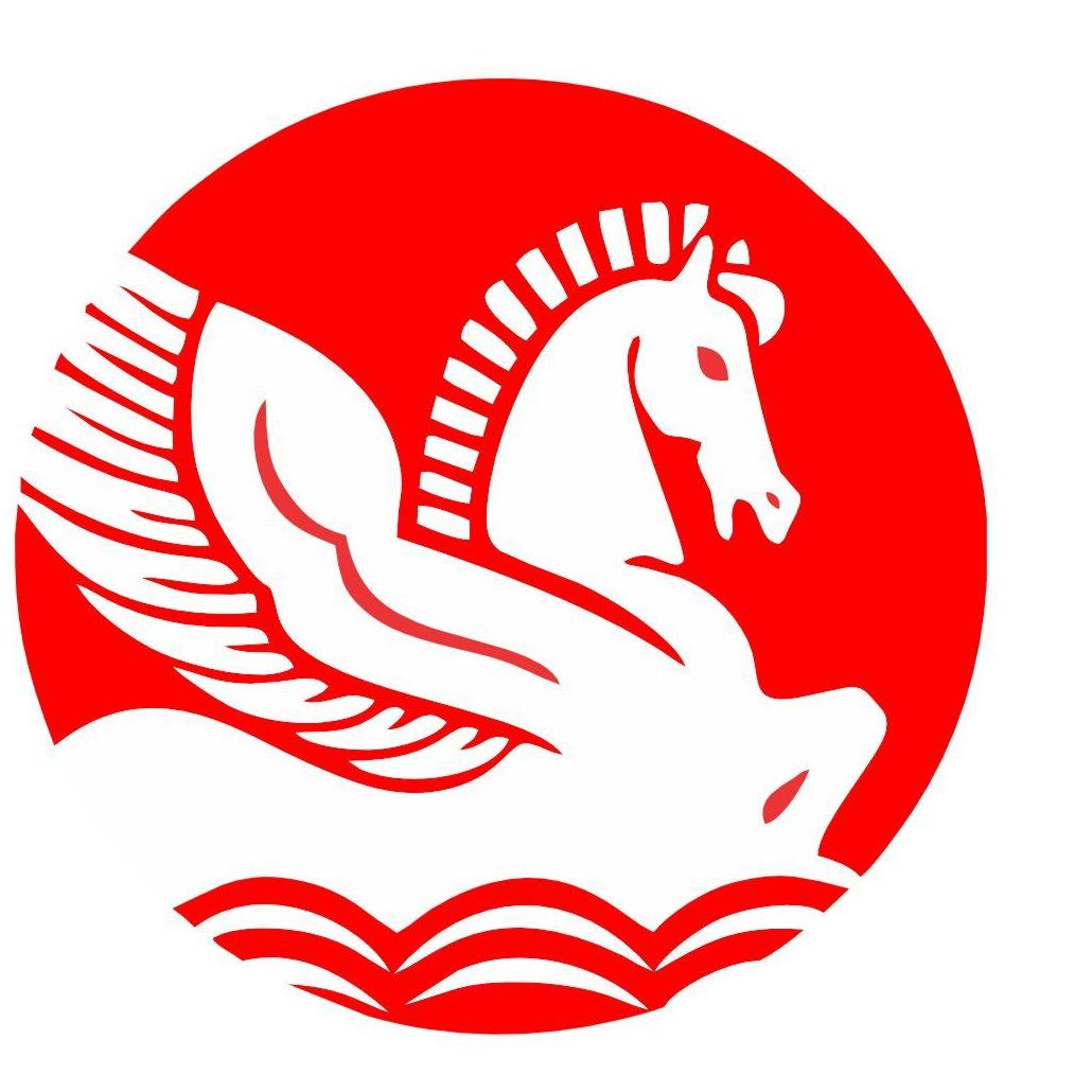 Singhal Industries